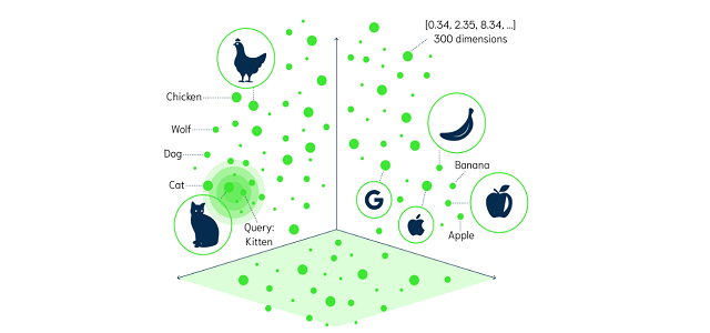 Exploring Vector Search with JINA. An Overview and Guide